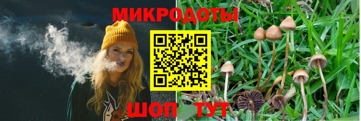 Псилоцибиновые грибы ЛСД Шарыпово